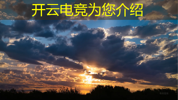 kaiyun·开云电竞为您介绍：职业电竞赛事有哪些名字