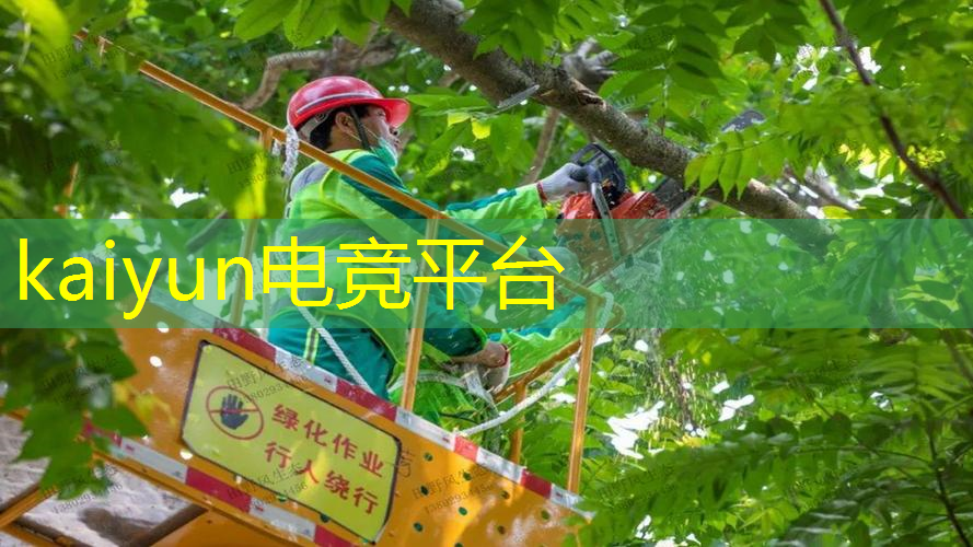 kaiyun电竞平台：游戏原画的能力包括哪些方面