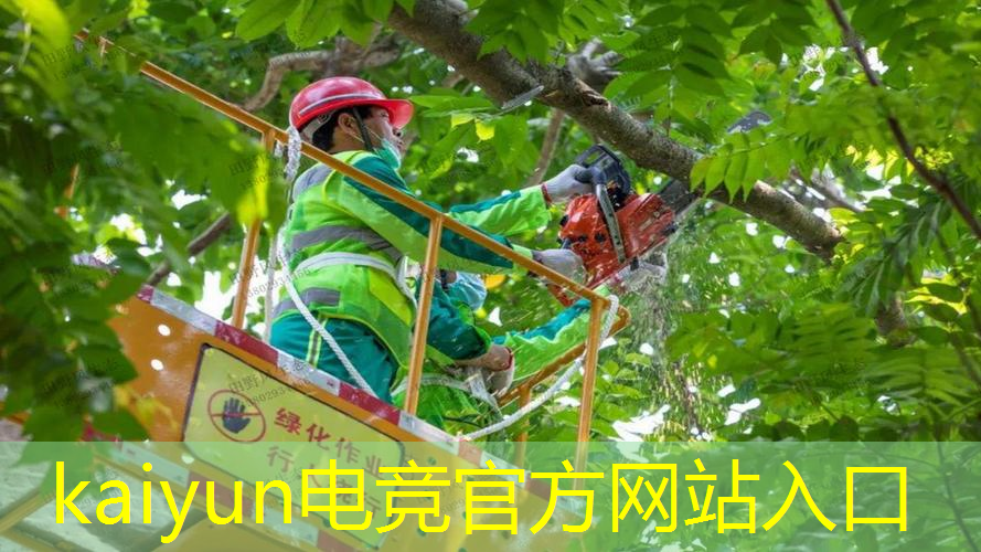 kaiyun电竞平台：角色游戏原画形状怎么看