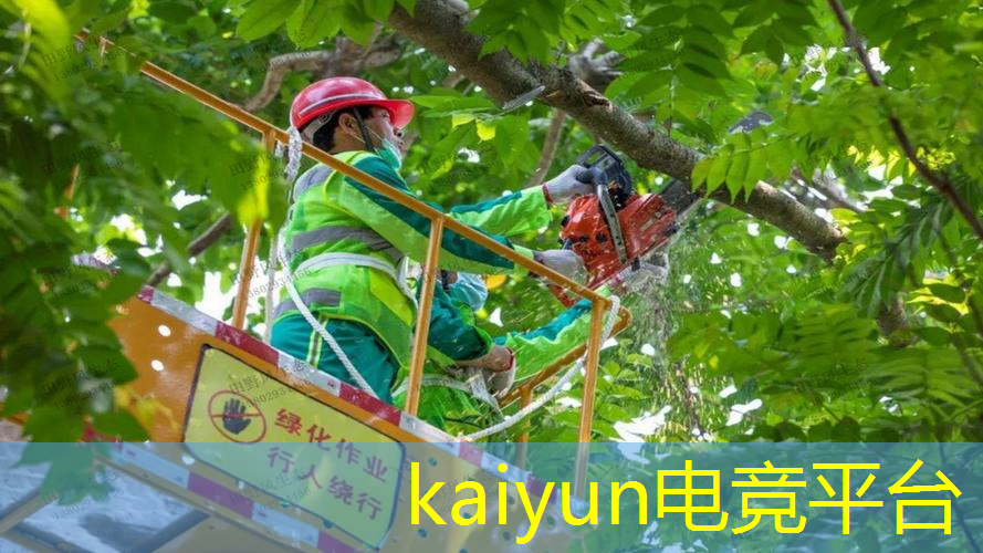 游戏海报人物是插画还是原画