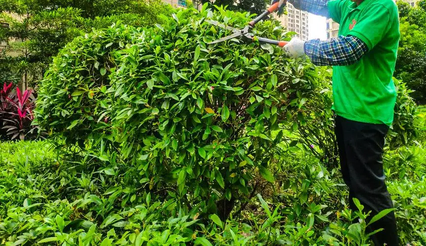 游戏原画自学零基础可以学吗