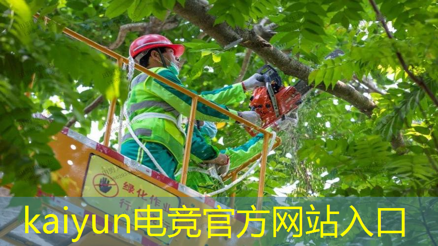 端游国产单机3d游戏
