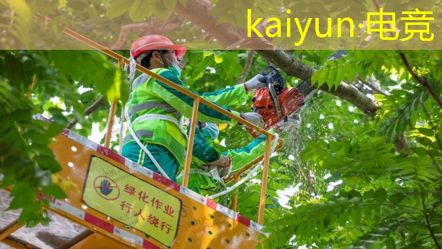游戏原画师 赵洋简介