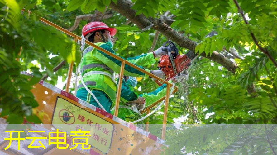 3d猎人游戏手游推荐